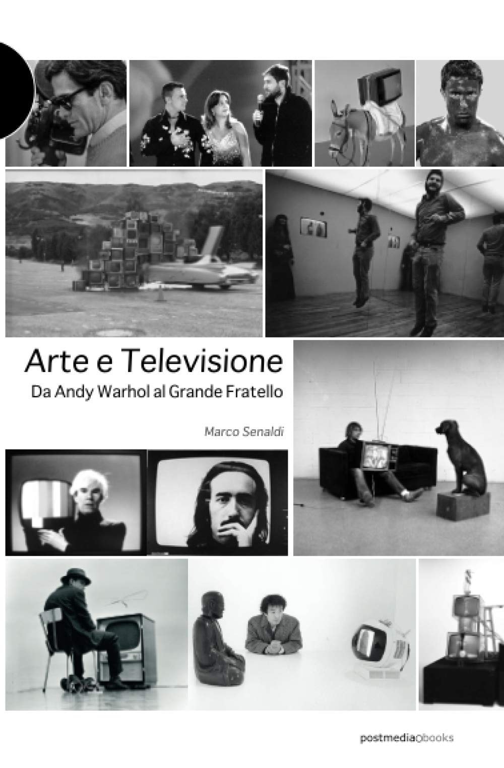 Arte e televisione: da Andy Warhol al Grande Fratello (Italian Edition)