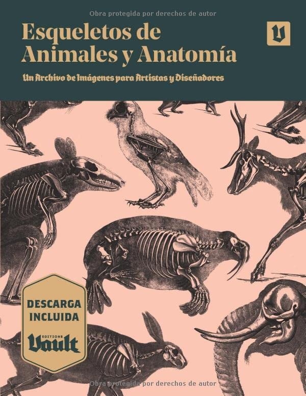 Esqueletos de Animales y Anatomía: Un Archivo de Imágenes para Artistas y Diseñadores (Spanish Edition)