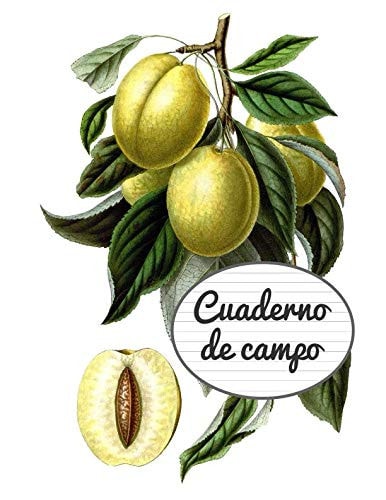 Cuaderno De Campo: Libreta De Campo Con Líneas (Spanish Edition)