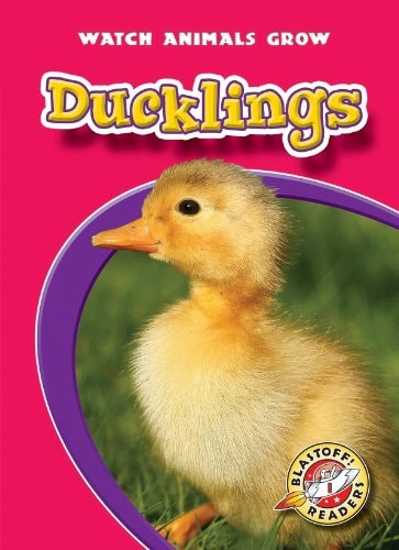 Ducklings (Paperback)(Blastoff! Readers: Watch Animals Grow) (Watch Animals Grow: Blastoff! Readers, Level 1)