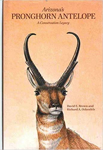 Arizona's Pronghorn Antelope : A Conservation Legacy