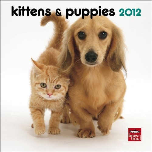 Kittens & Puppies 2012 7X7 Mini Wall Calendar