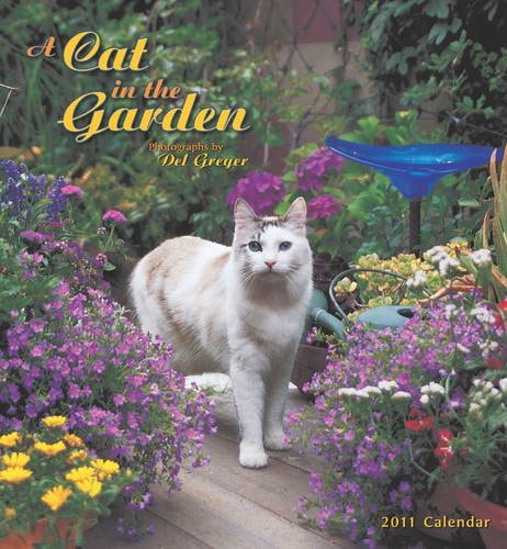 A Cat in the Garden 2011 Wall Calendar