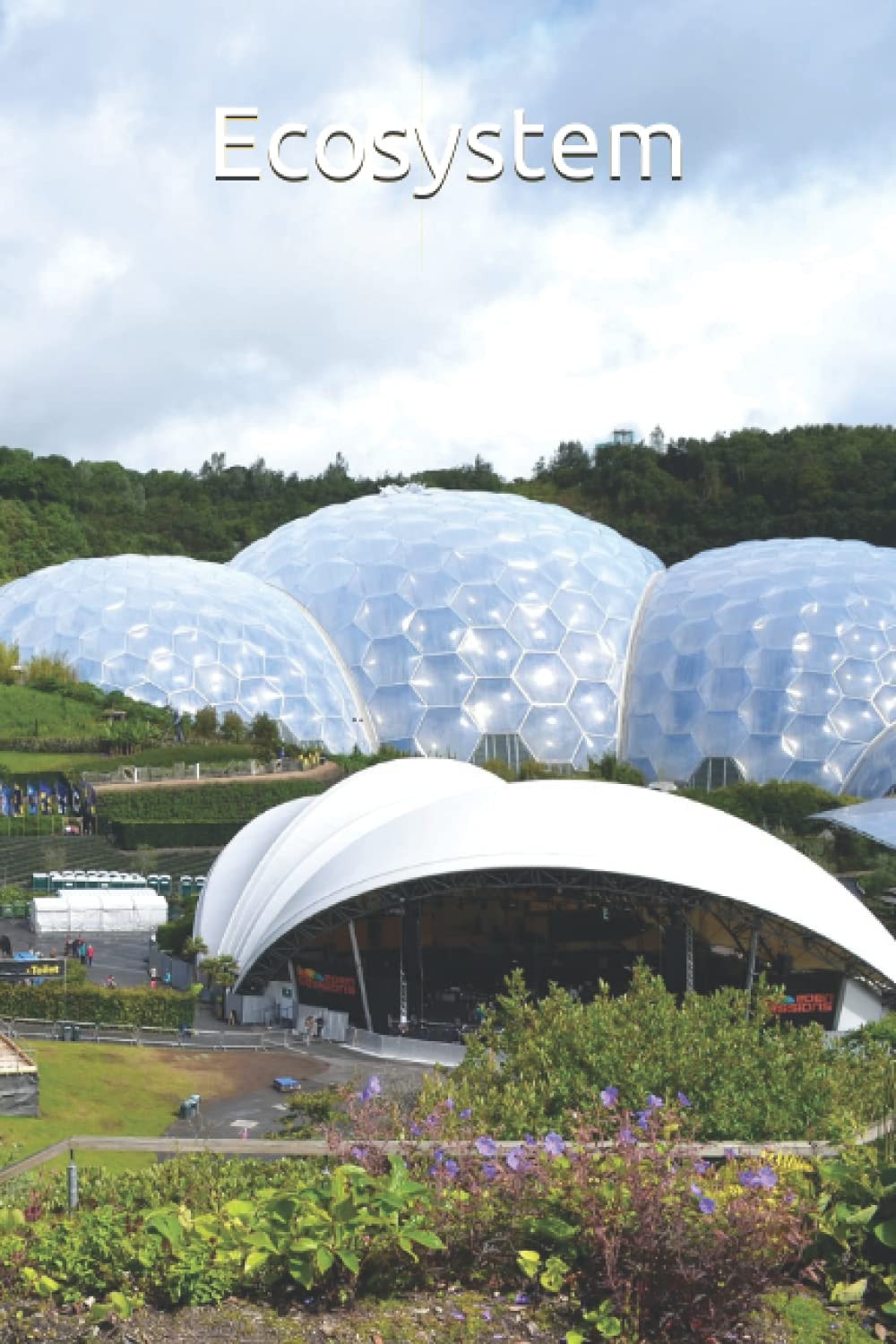 Ecosystem: Graph Papier 6x9 100 Pages