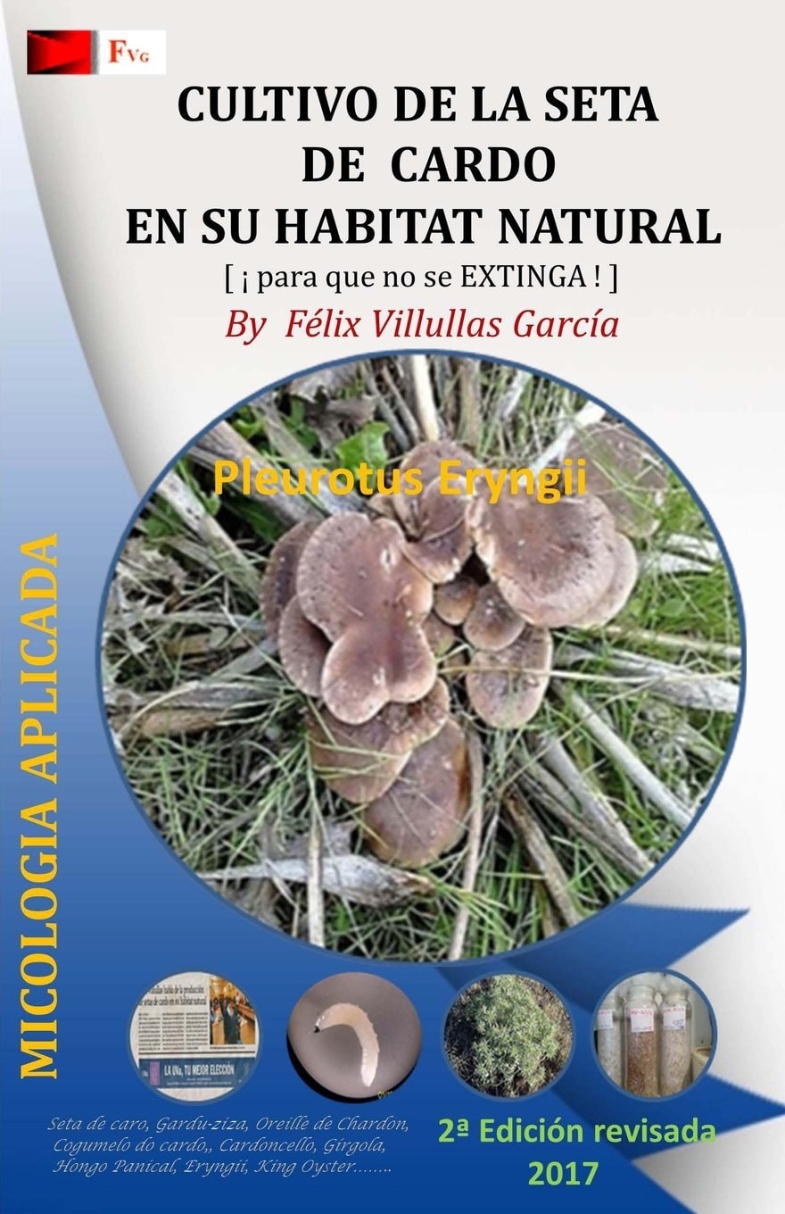 Cultivo de la Seta de Cardo en su habitat natural: Asociacion del hongo Hongo Pleurotus Eryngii y la planta Eryngium Campestre (Spanish Edition)