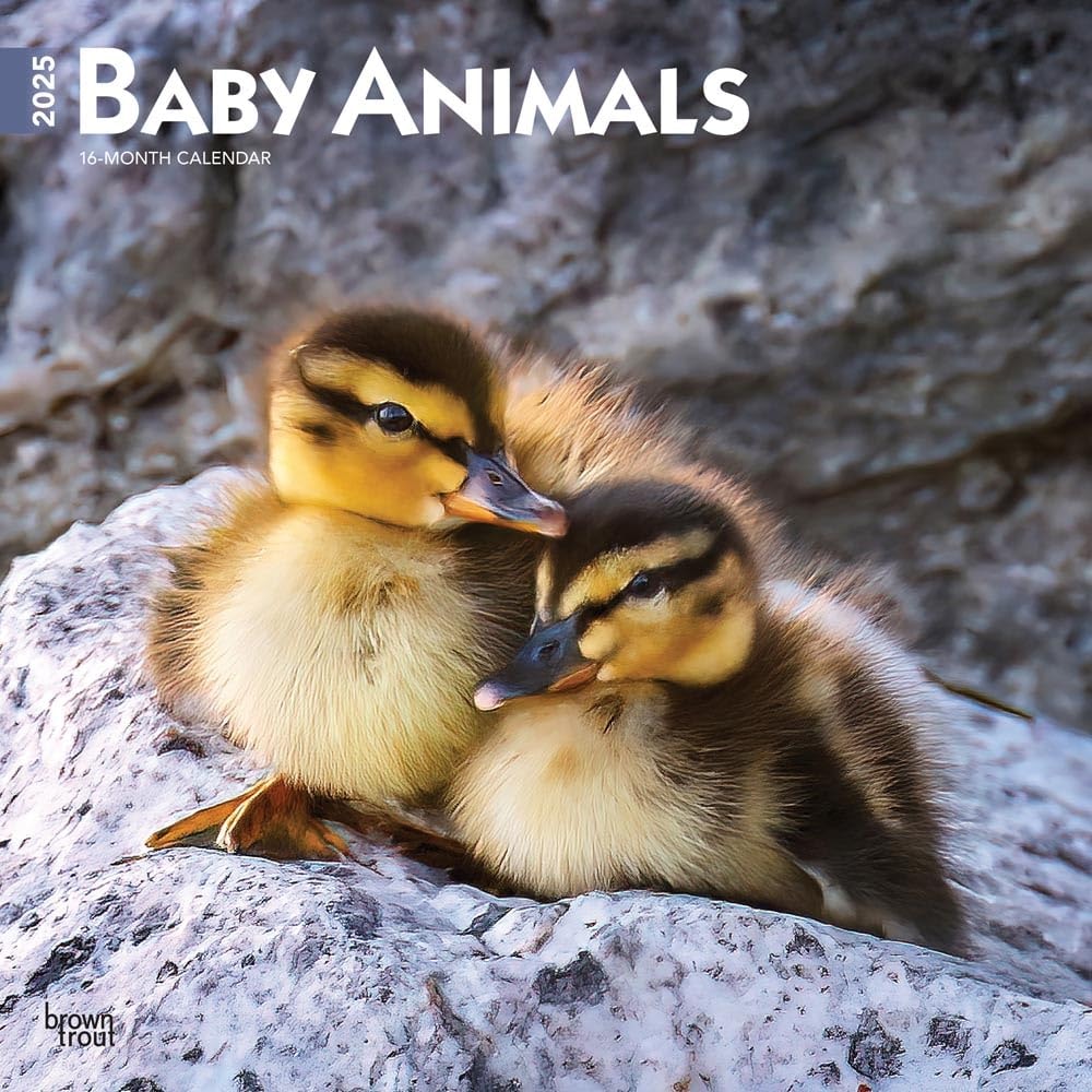 Baby Animals 2025 12 X 24 Inch Monthly Square Wall Calendar Plastic-Free