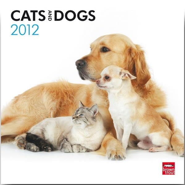 Cats & Dogs 2012 Square 12X12 Wall Calendar