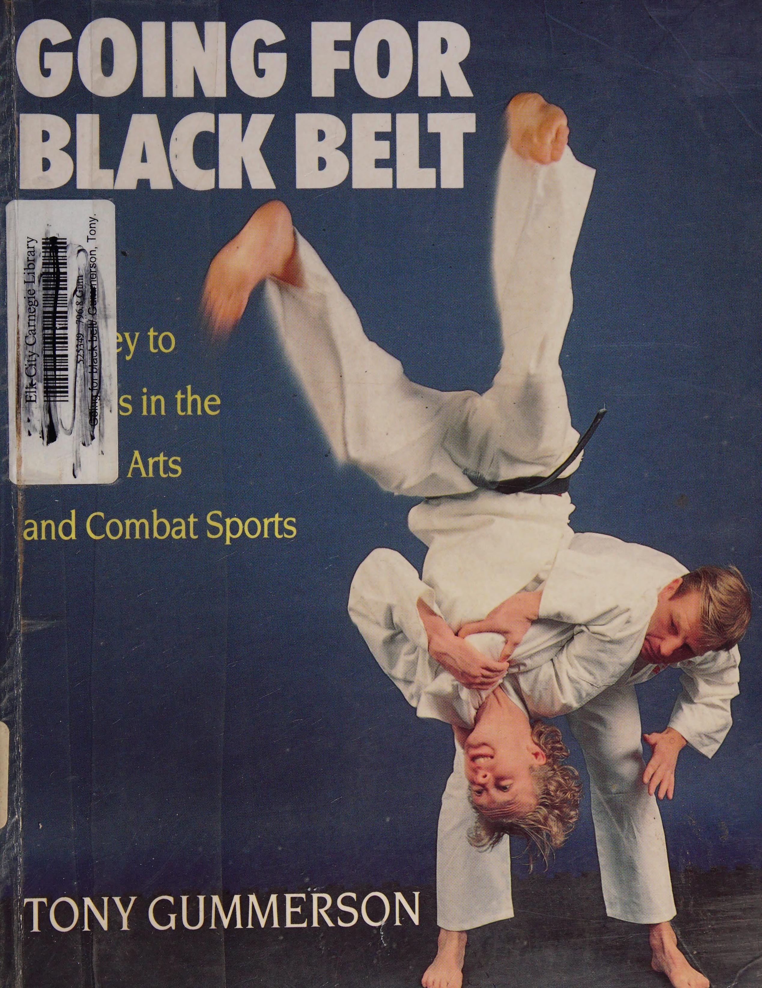Going for Black Belt: the key to success in the martial arts and combat sports