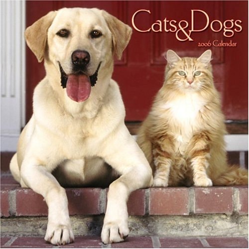 Cats & Dogs 2006 Calendar