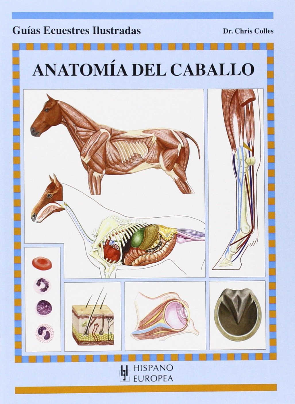 Anatomía del caballo (Guias ecuestres ilustradas / Illustrated Equestrian Guides) (Spanish Edition)