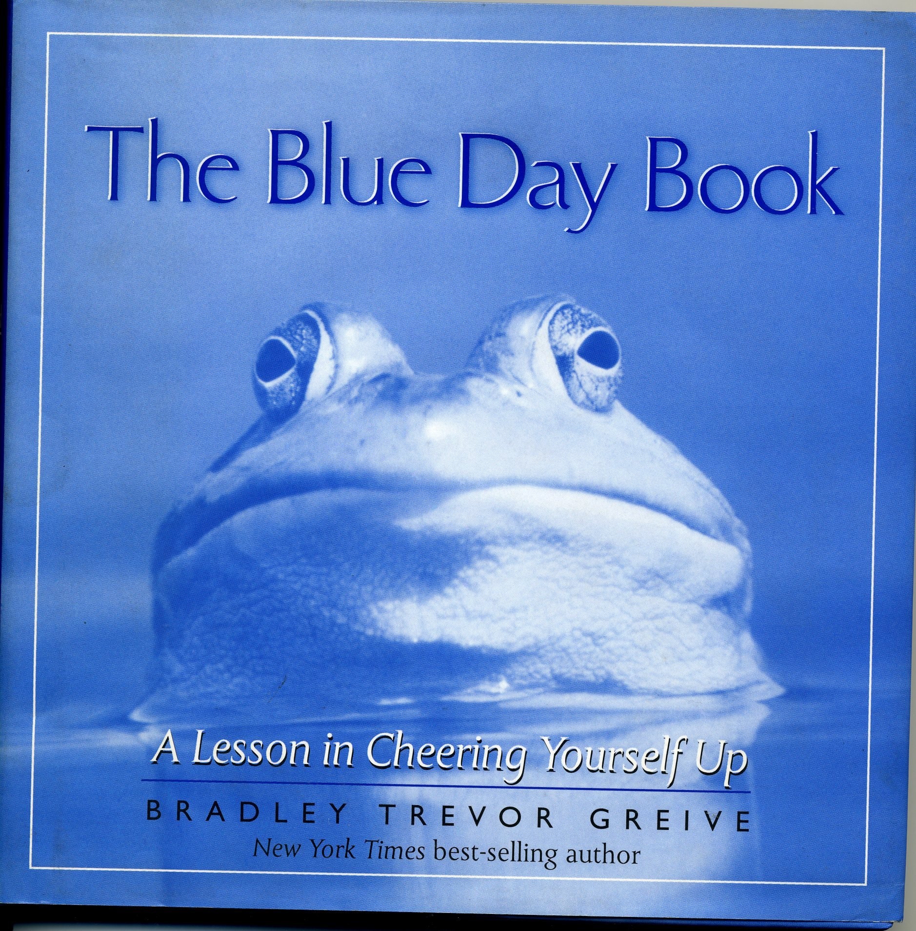 Blue Day Book : A Lesson in Cheering Yourself Up