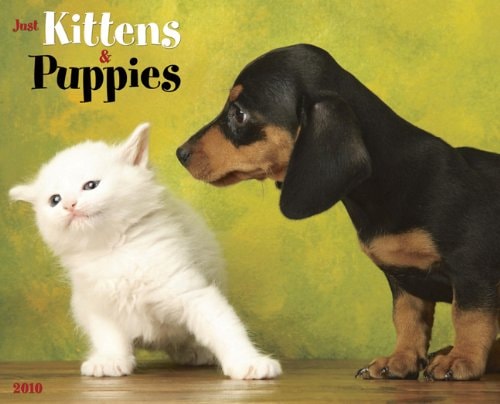 Just Kittens & Puppies 2010 Calendar