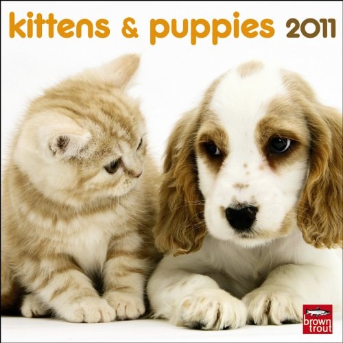Kittens & Puppies 2011 7X7 Mini Wall