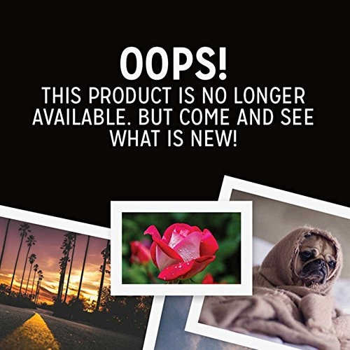 2016 Cats & Dogs Wall Calendar