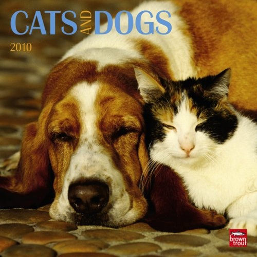 Cats & Dogs 2010 Square Wall