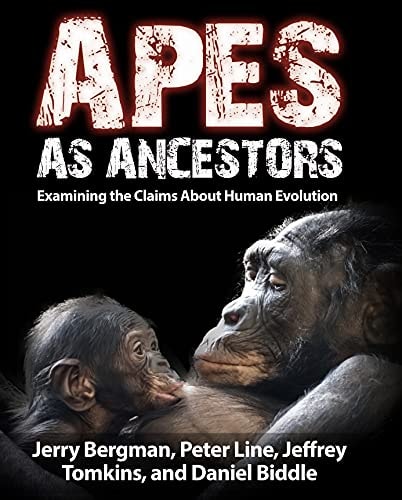 Apes as Ancestors: Examining the Claims About Human Evolution