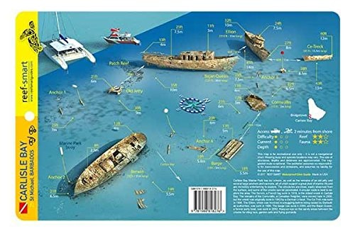 Carlisle Bay Barbados Waterproof Dive & Fish Card