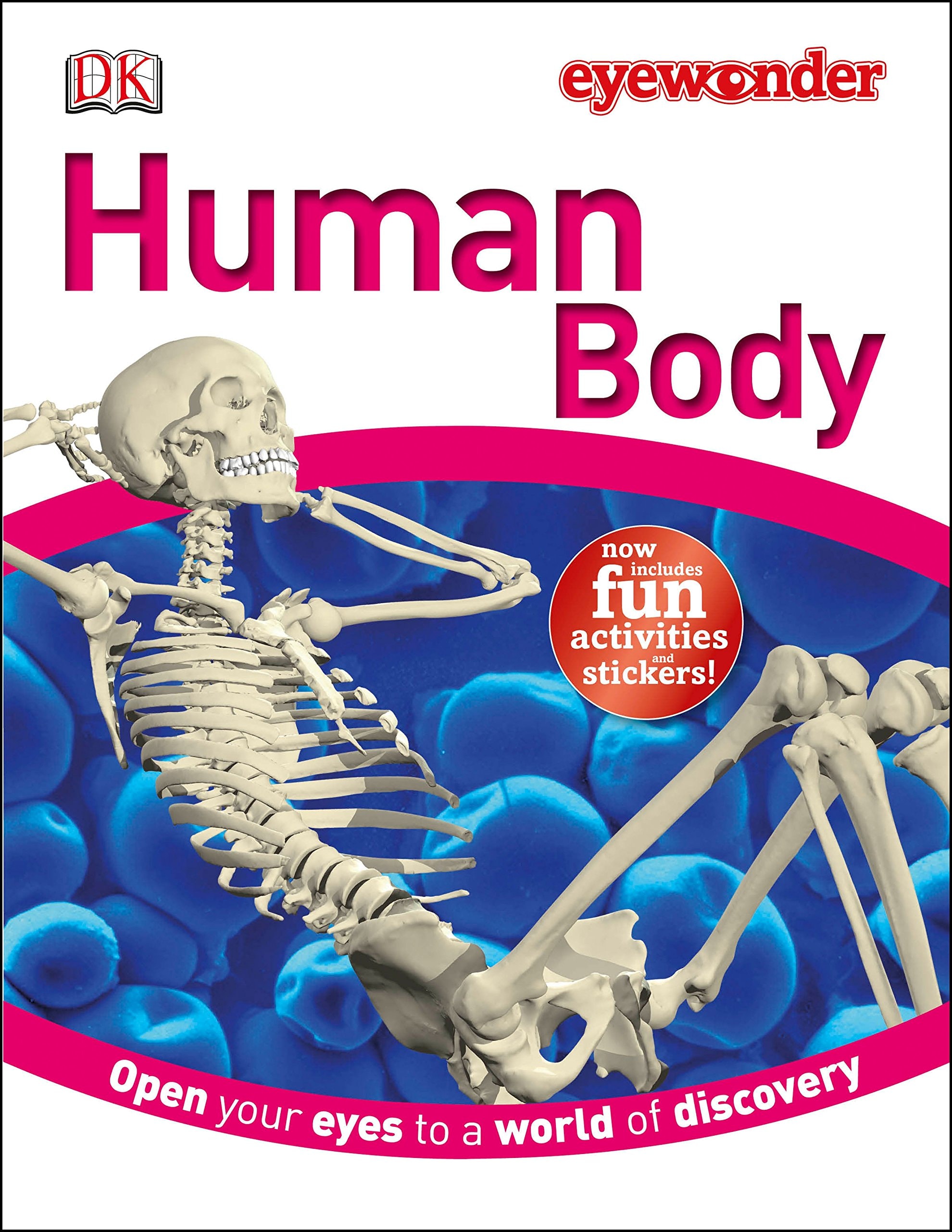 Human Body (Dkfindout!)