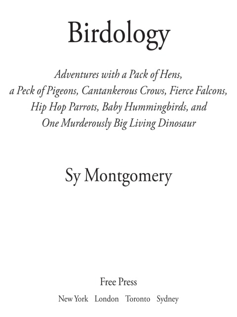 Birdology: Adventures with a Pack of Hens, a Peck of Pigeons, Cantankerous Crows, Fierce Falcons, Hip Hop Parrots, Baby Hummingbirds, and One Murderously Big Living Dinosaur (t)