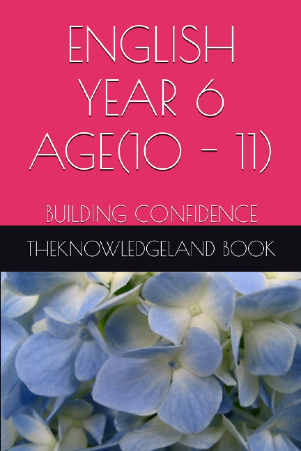 ENGLISH YEAR 6 AGE(10 - 11): BUILDING CONFIDENCE