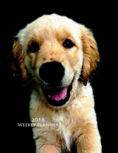 2018 Weekly Planner: 8.5" x 11" 2018-2019 Dog Cat Monthly Daily Planner Diary Calendar Schedule Journal Organizer Volume 10 (Dog Cat Days Weekly ... Planner Calendar 2018-2019 Planner Series)