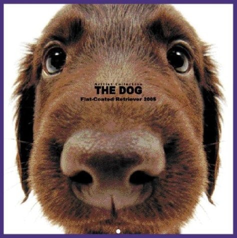 Artlist Collection the Dog 2005 Calendar Flat-Coated Retriever