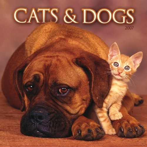 Cats & Dogs 2007 Calendar