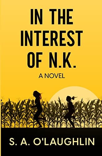 In the Interest of N.K.: A Novel