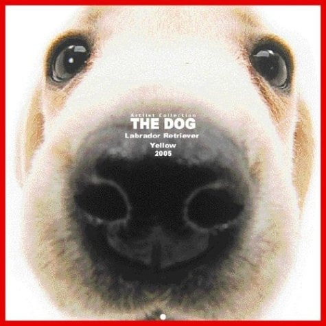 Artlist Collection the Dog 2005 Calendar Labrador Retriever (Yellow)