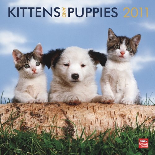 Kittens & Puppies 2011 Square 12X12 Wall Calendar