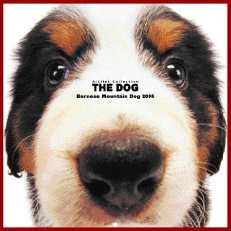 Artlist Collection the Dog 2005 Calendar Bernese Mountain Dog