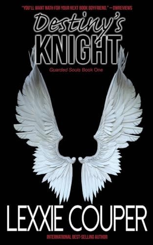 Destiny's Knight (Gaurded Souls)