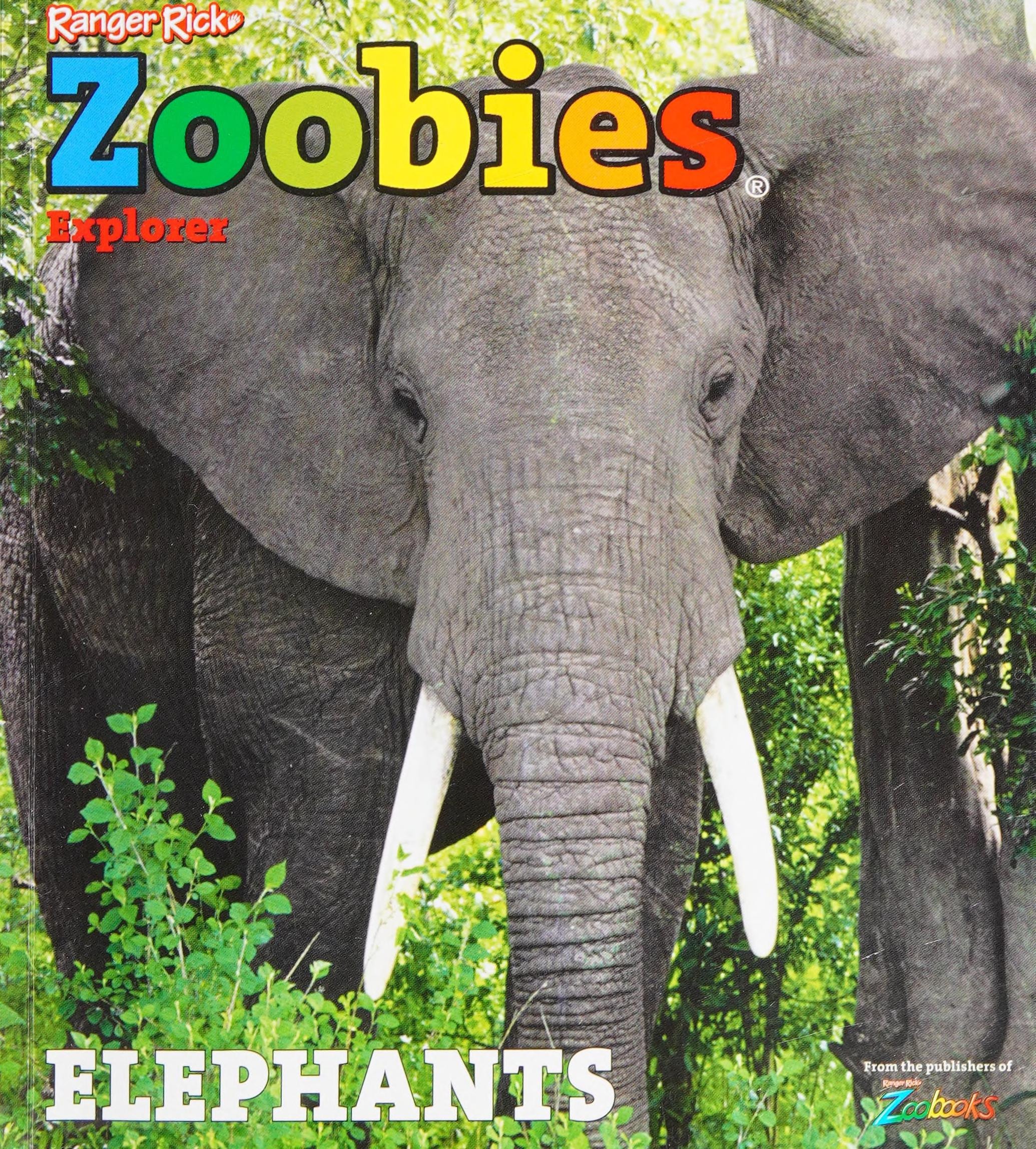 Elephants
