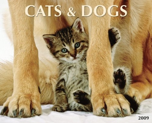 Cats & Dogs 2009 Calendar