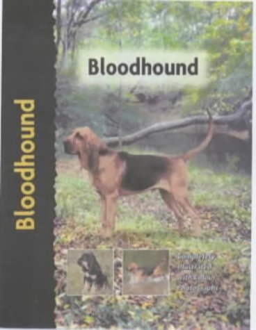 Bloodhound