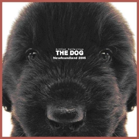 Artlist Collection the Dog 2005 Calendar Newfoundland