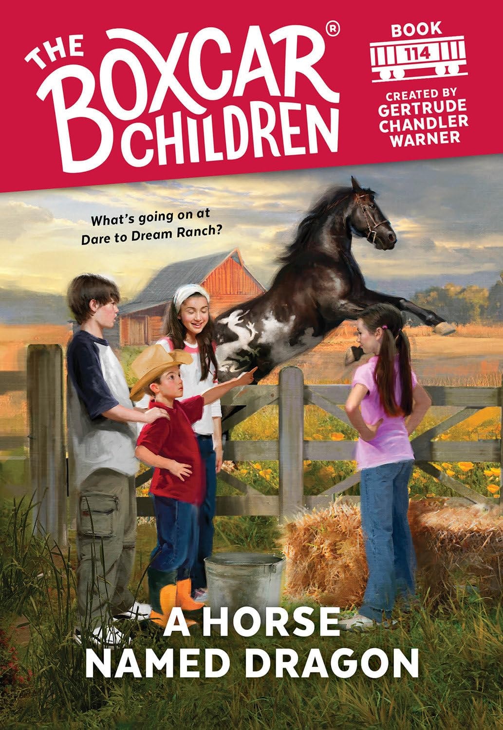 A Horse Named Dragon (Boxcar Children Mysteries, #114)