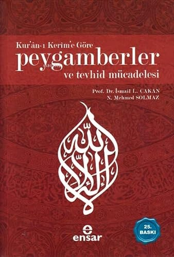 Kur’an-ı Kerim’e Göre Peygamberler ve Tevhid Mücadelesi (Turkish Edition)