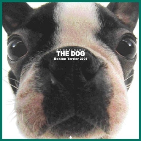 Artlist Collection the Dog 2005 Calendar Boston Terrier