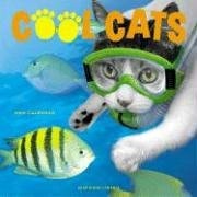 Cool Cats
