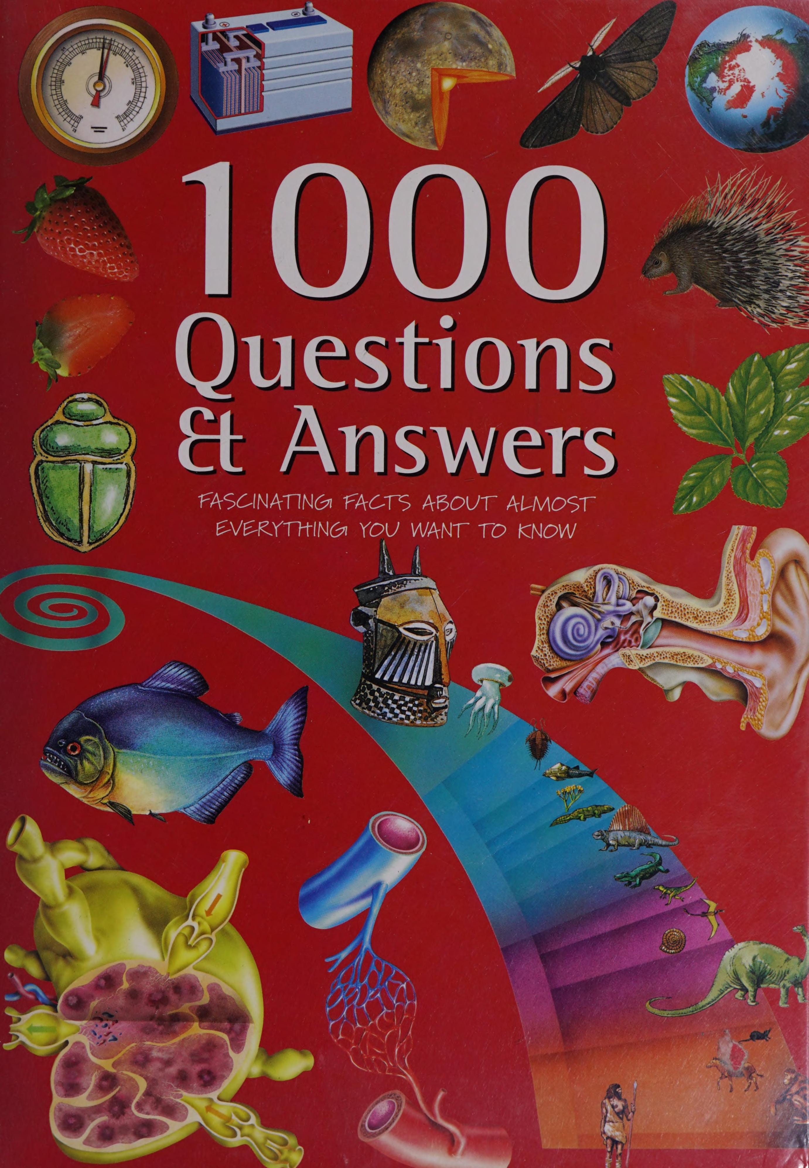 1000 Questions and Answers