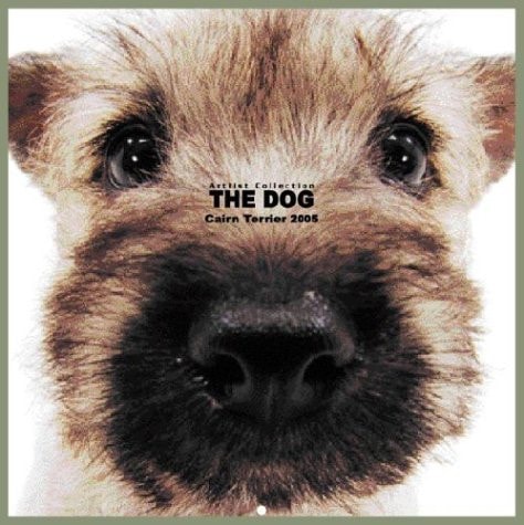 Artlist Collection the Dog 2005 Calendar Cairn Terrier