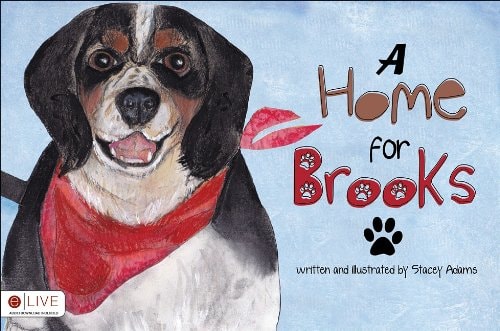A Home for Brooks