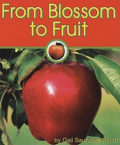From Blossom to Fruit (Apples)