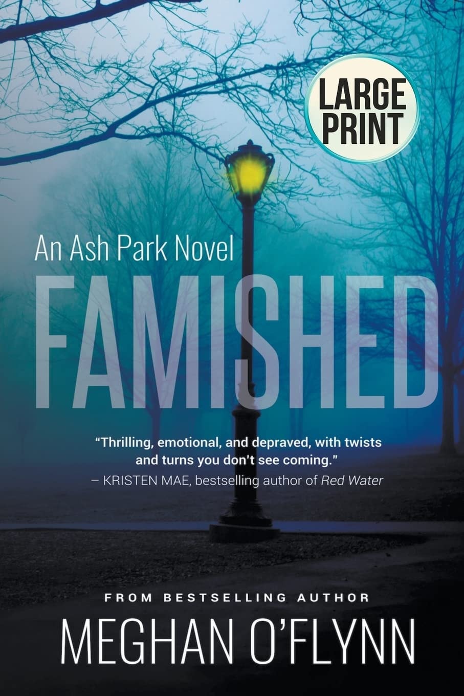 Famished: Large Print (Ash Park)